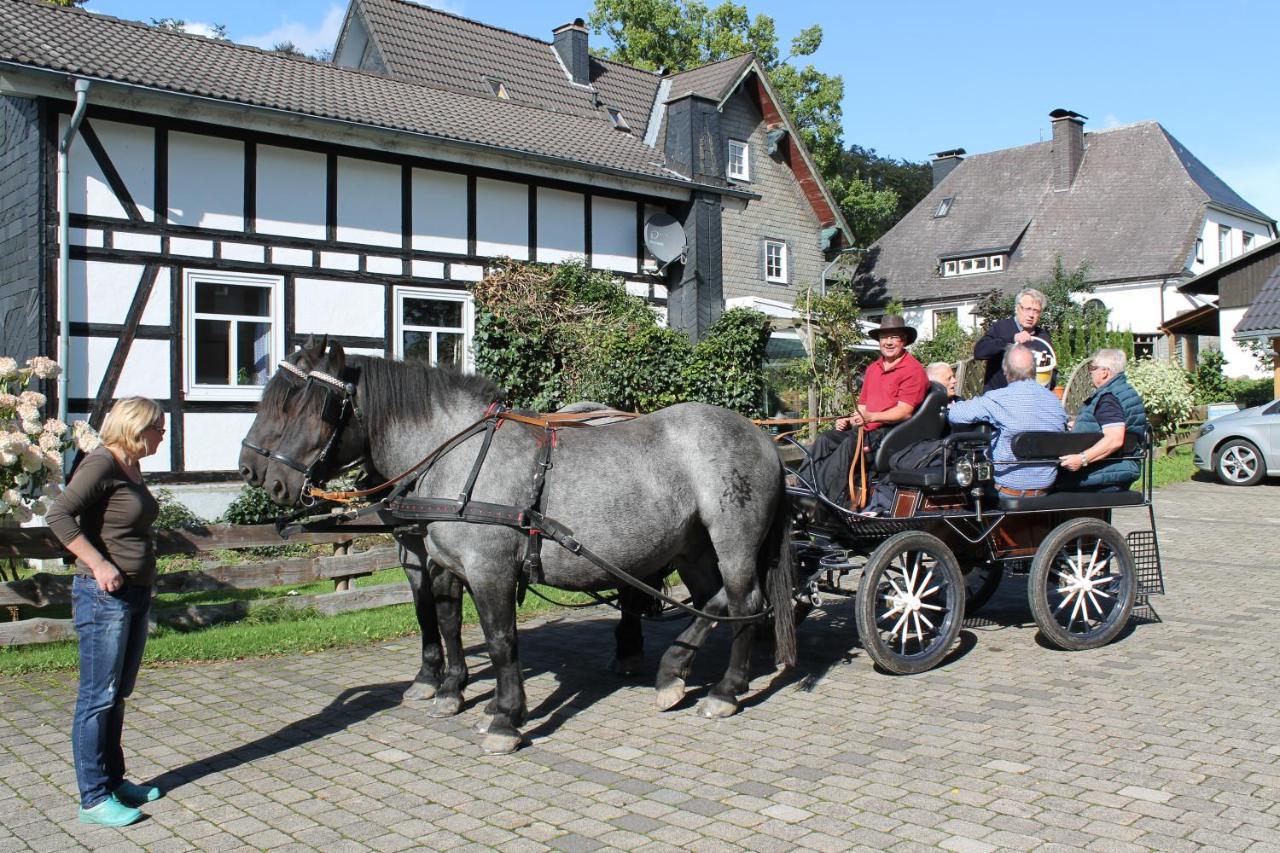 Mollseifer Hof Hotel Winterberg Exterior photo